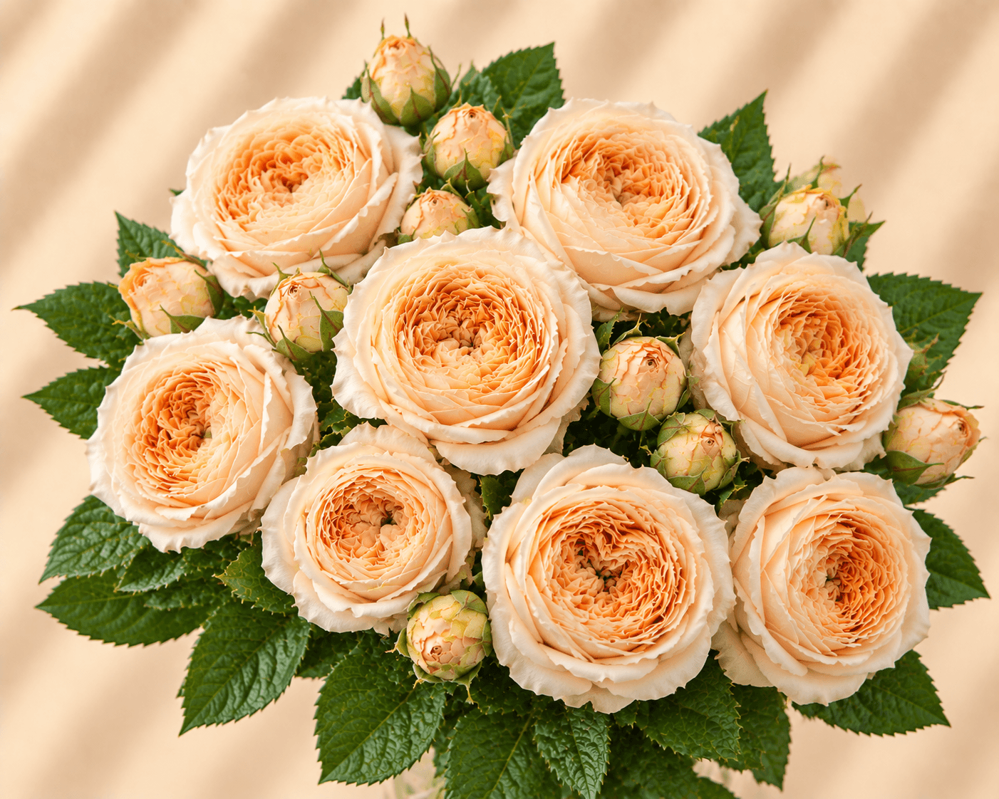 Julietta Honey