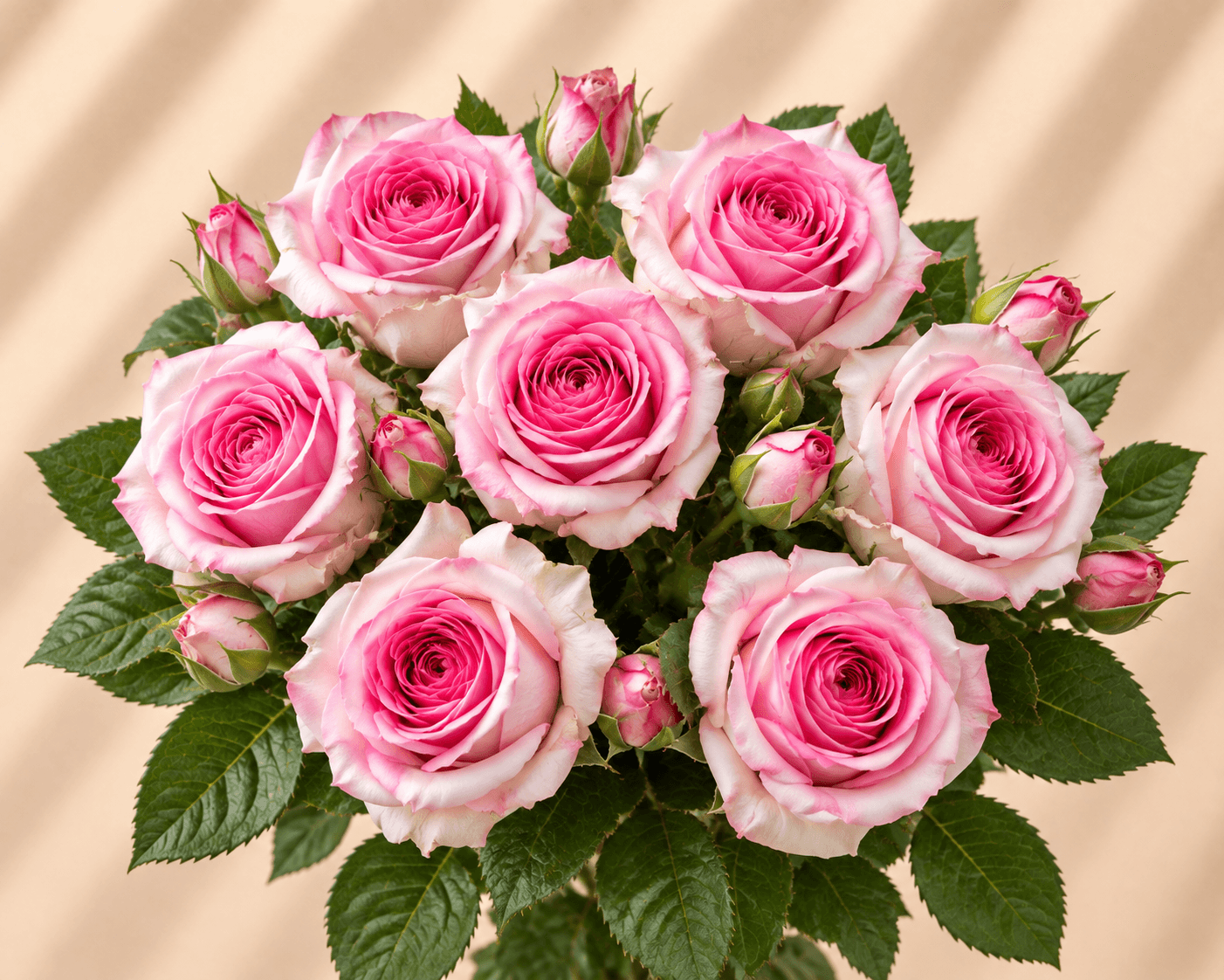 Mandala Roses