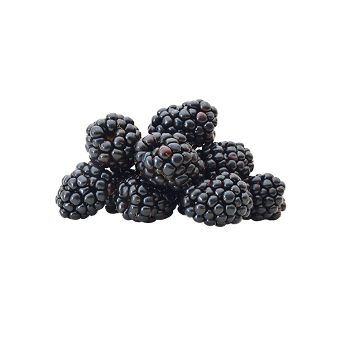 Blackberry