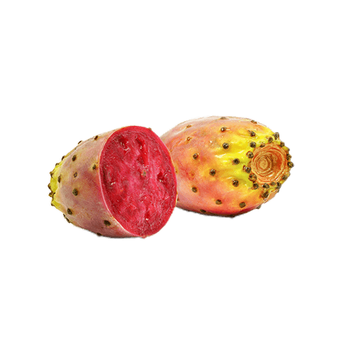 Cactus Fig