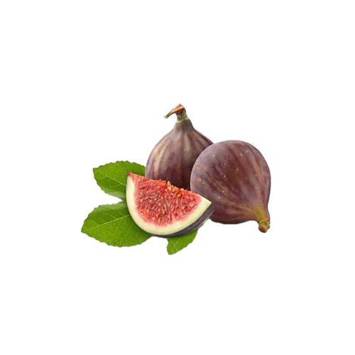 Indian Figs
