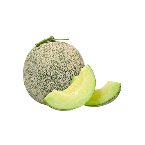 Japanese Melon Small