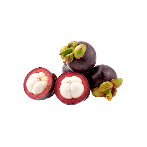 Mangosteen