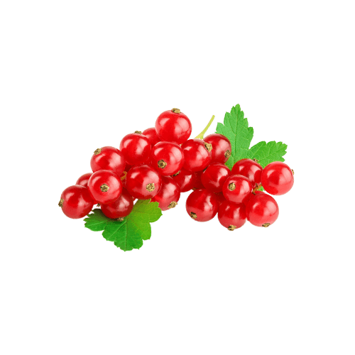 Red Currant