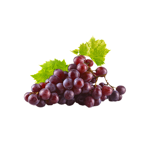 Red Globe Grape