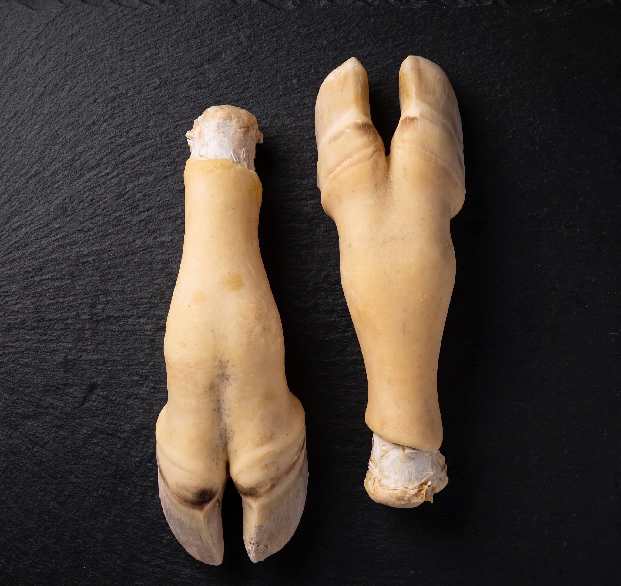 Feet