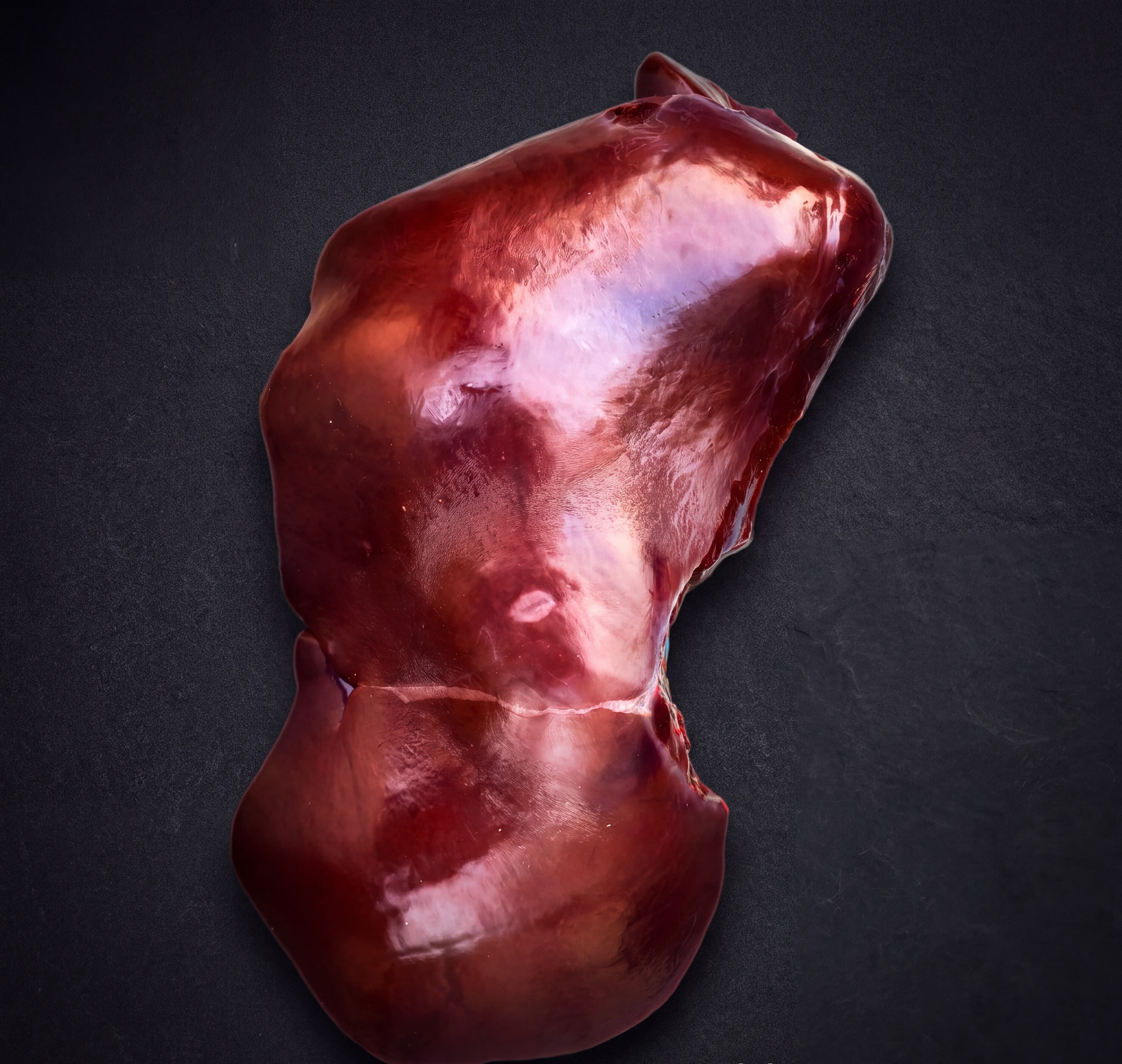 Liver