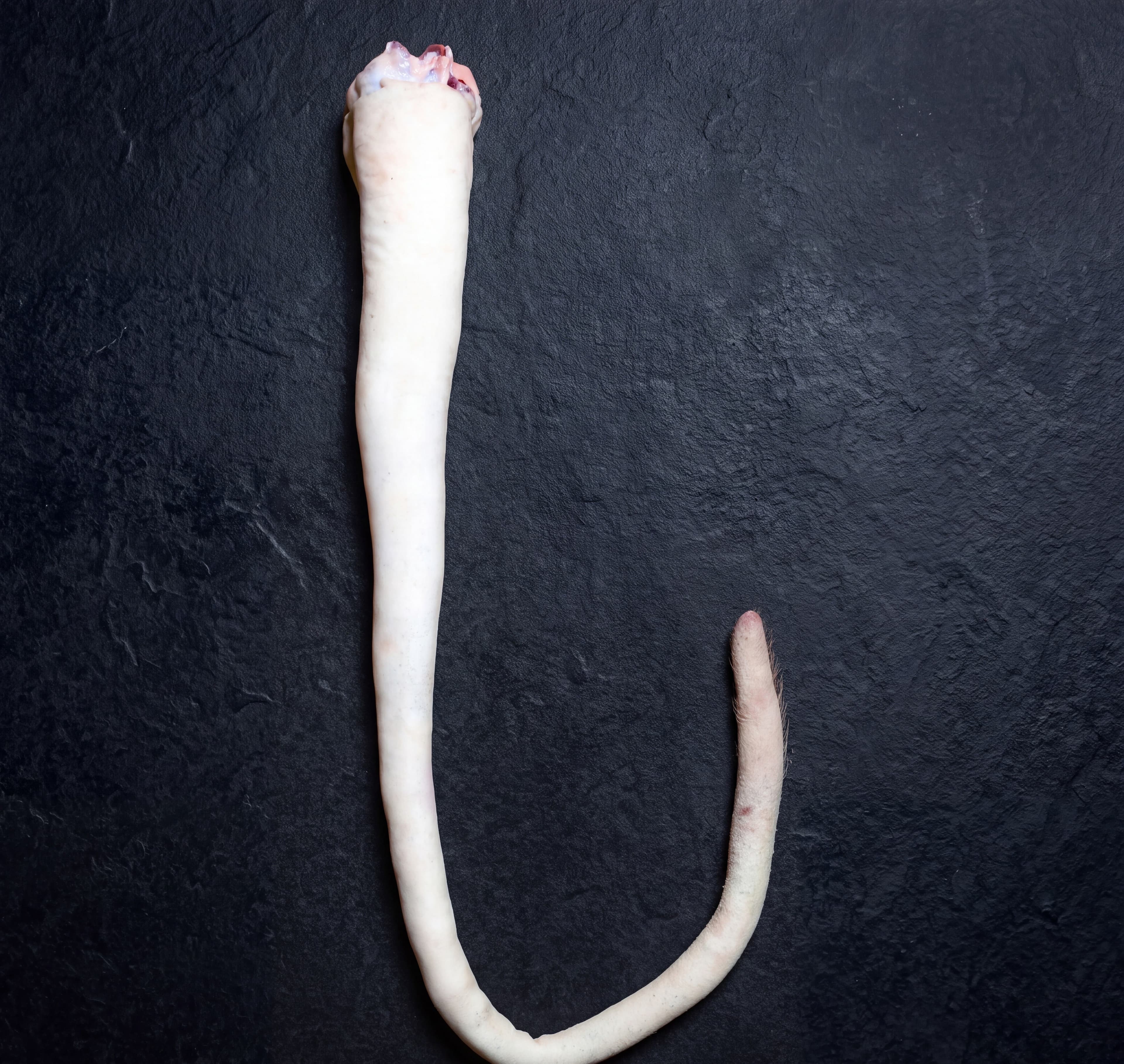 Skin Tail