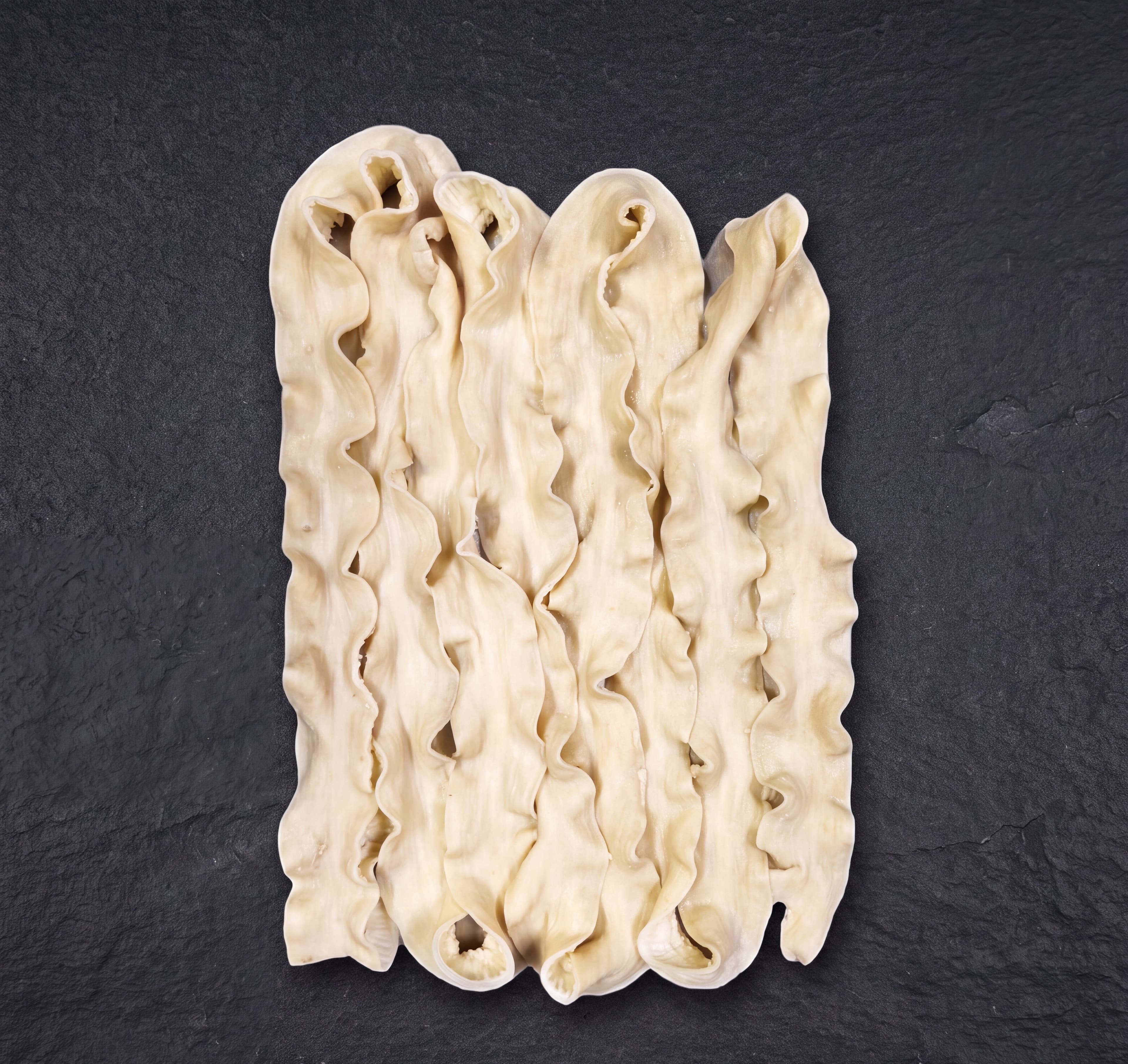 Small Intestine