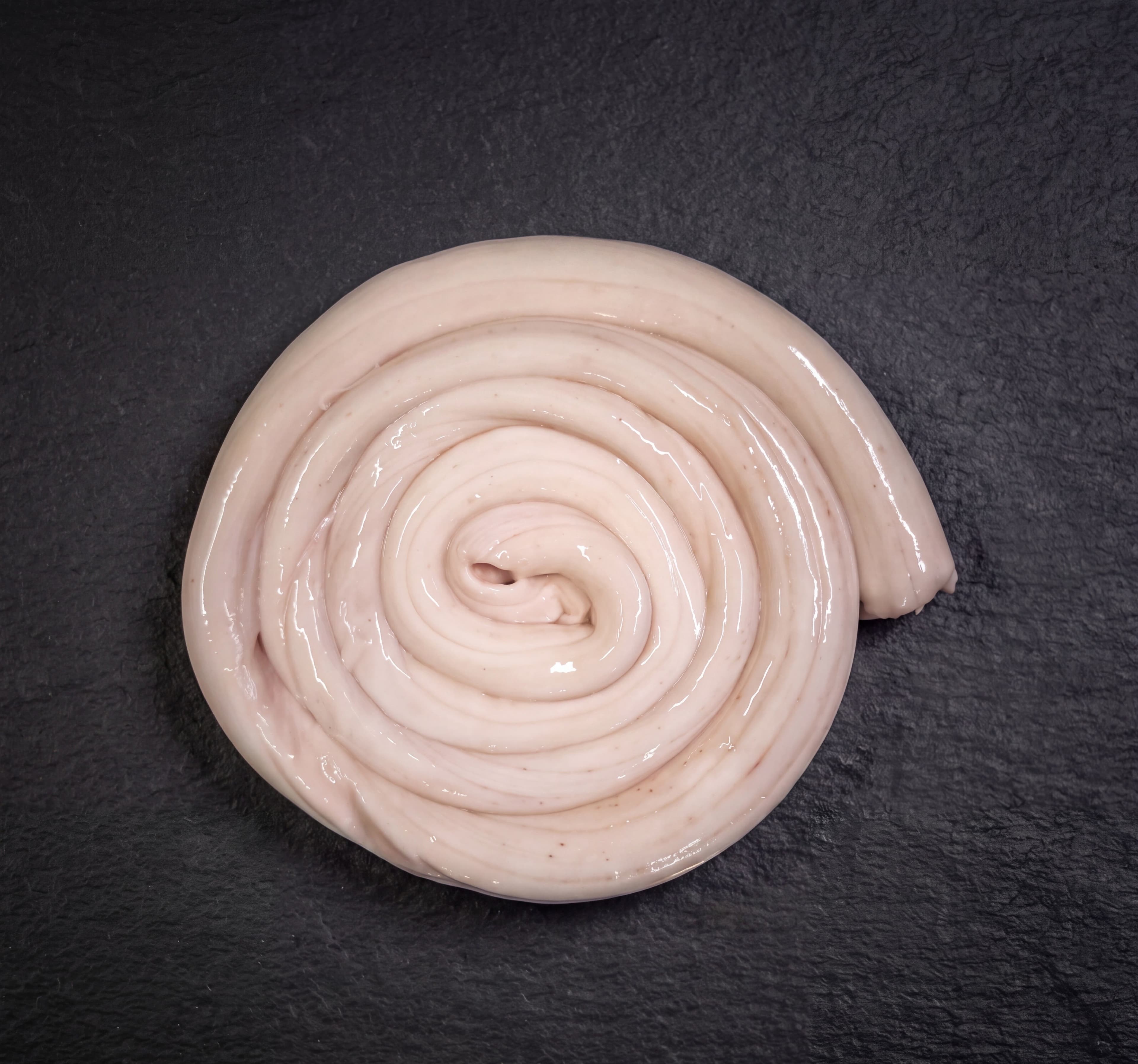 Spinal Cord