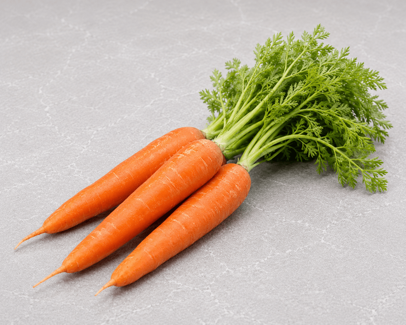 Carrot
