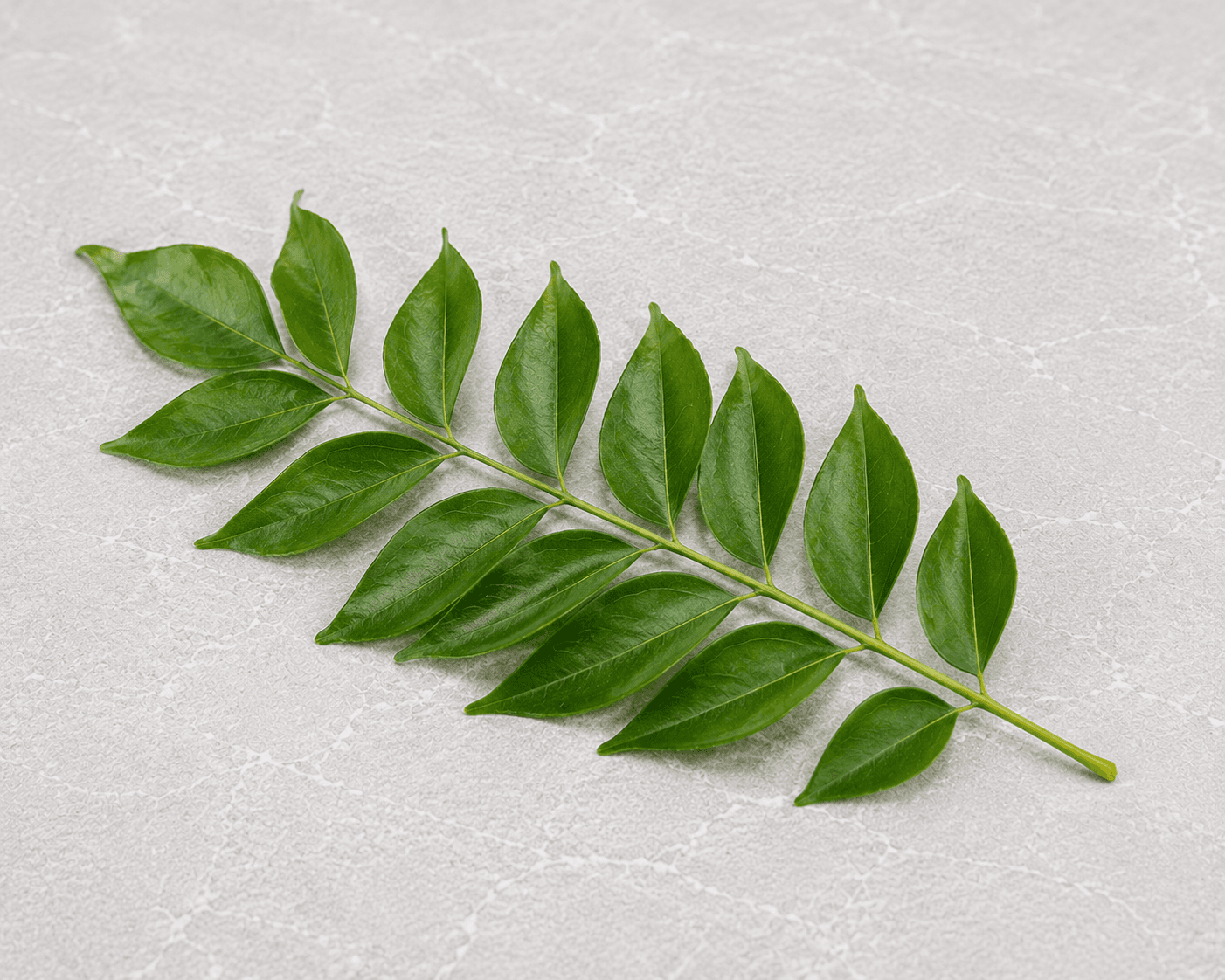 Curry Leaves