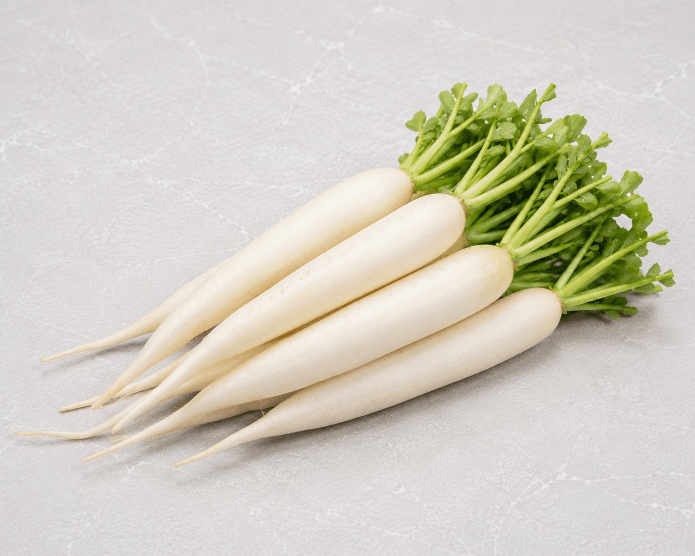 White Radish